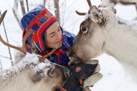 Koko päivän pororetki noudon kanssa Kiirunassa