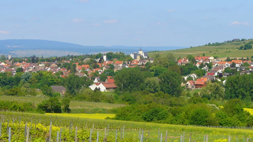 Photo of Ingelheim Spring,Germany.