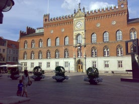 Odense Kommune - town in Denmark