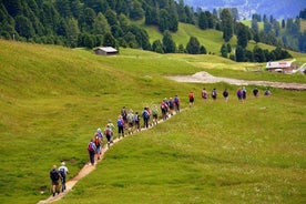 "Camino de Santiago": MANEIRA PORTUGUESA. Excursão a pé privada de Tui