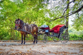 Passeio de carruagem particular no Parque Natural Vrelo Bosne