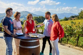 Excursion œnologique à la découverte du txakoli à Getaria et Zarautz avec dégustations au départ de San Sebastian