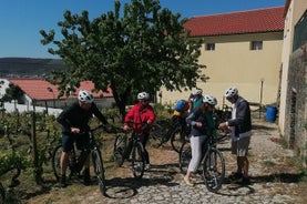 e-Bike Through Douro Valley Wine Region for Half Day Tour