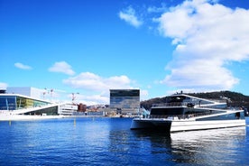 Oslo Combo Tour: Grand City Tour och Oslo Fjord Cruise