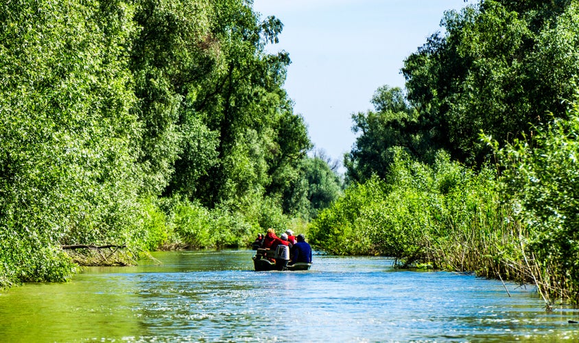 Photo of Tulcea City, Nature and Wildlife in Danube Delta in Romania.