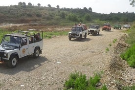 侧面：4x4 越野吉普车山间野生动物园之旅（含午餐）