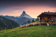 Best Time To Visit the Swiss Alps in Switzerland