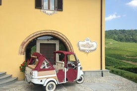 Halbtägige private Tour Ape Calessino in der Barolo Langa