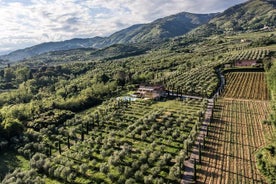  Wein- und Olivenölverkostung & Farmtour