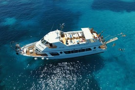 Excursion en bateau dans l'archipel de La Maddalena au départ de Palau