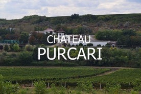 Moldova : WINE tasting Tour to Winery Château Purcari 