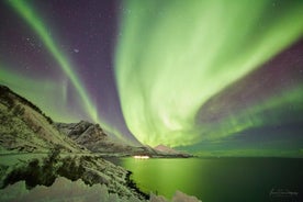 Escursione all'aurora boreale in minivan (8 persone per minivan)