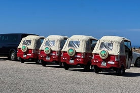 Heldags privat Tuk-Tuk-tur i Sintra