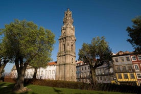 Porto: Aðgangsmiði að Torre dos Clérigos