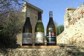 Small-Group Full-Day Private Wine Tour from Avignon