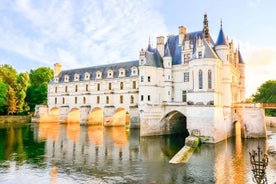 Chenonceau 성 : 개인 가이드 워킹 투어