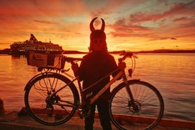 Oslo: Winter Highlights 3-Hour Bike Tour