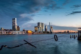 Best of Rotterdam: small-group walking tour