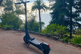 Electric Scooter Rental in Nice 