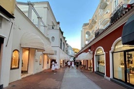 CAPRI DOLCE VITA: visite de jour et de nuit en petit groupe au départ de Sorrente