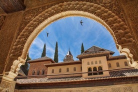 Tour privado pela Offbeat Granada com um local