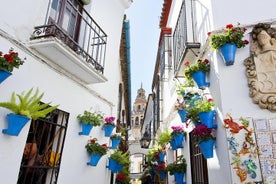 Cordoba: Moské, katedral, Alcazar och synagoga med biljetter