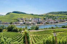 Luxembourg: Moselle Day Trip with Wine Tasting and Boat Tour