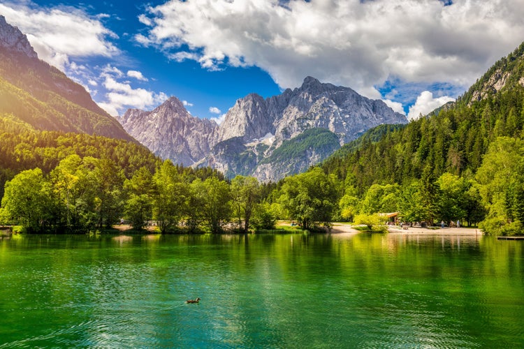 Great nature scenery in Slovenian Alps. Incredible summer landscape on Jasna lake. Triglav national park. Kranjska Gora, Slovenia. Mountain lake Jasna in Krajsnka Gora, Slovenia.