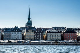 Private Car Tour of Stockholm with a Live guide, including the Vasa museum. 