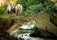 Domain of the Caves of Han, Han-sur-Lesse, Rochefort, Dinant, Namur, Wallonia, Belgium