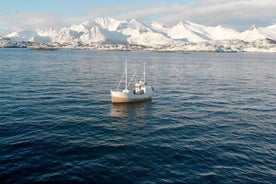 Svolvær: Fishing Trip on the Lofoten Sea