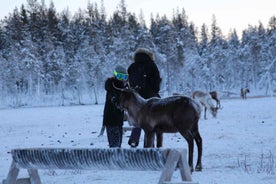 Jokkmokk: Sámesijdda in the reindeer–herd