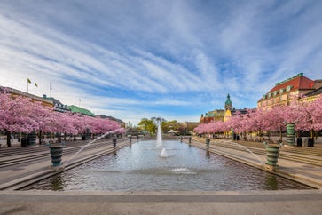 Kungsträdgården travel guide