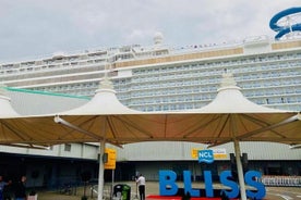 Southampton Cruise Terminals to East London Private Port Transfer