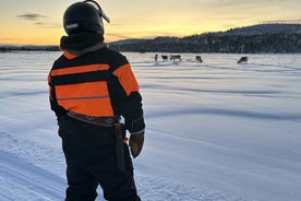 Ivalo: PRIVATE Snowmobile Safari, meet&feed reindeers, lunch