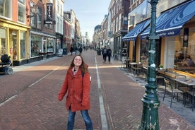 Full Day Private Tour of Delft, The Hague and Leiden