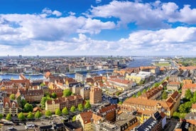 Exclusive Guided & Customized Private Oslo City Tour in Limo