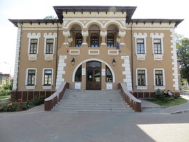 Ion Irimescu Art Museum