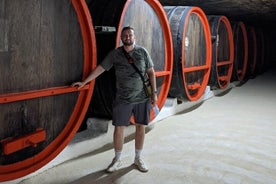 Det beste fra Moldova: Cricova Winery & Old Orhei Tour inkludert Curchi Monastery