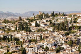 Tour privato di Alhambra e Albaycin