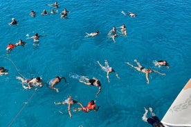 Medusa Cruises 4-timers Chill Out - Turtle Cruise In Protaras