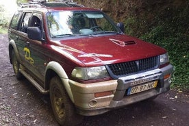 Jeep-Touren / Jeep-Safari / Offroad-Touren, Südküste