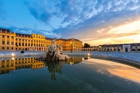 Tour magico dei mercatini di Natale di Vienna