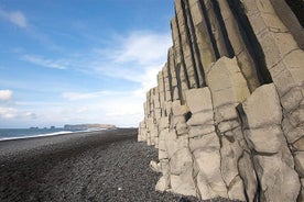 Heldagstur med bus fra Reykjavik til sydkysten, vandfald og sort strand