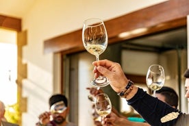 Tour del vino Txakoli di Bilbao