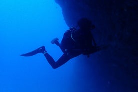 Duiken op Lanzarote (alleen voor gecertificeerde duikers)