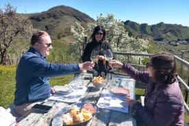 Prosecco smakk (2 víngerð) og hádegisverður á hæðunum. Frá Feneyjum.