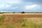 Naturcenter Harrild Heath, Ikast-Brande Municipality, Central Denmark Region, Denmark