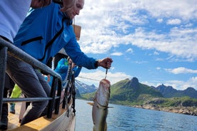 From Svolvaer: Lofoten Fishing Boat Cruise