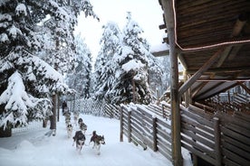 Joulupukin Pajakylä, Husky ja Porot Combo Safari